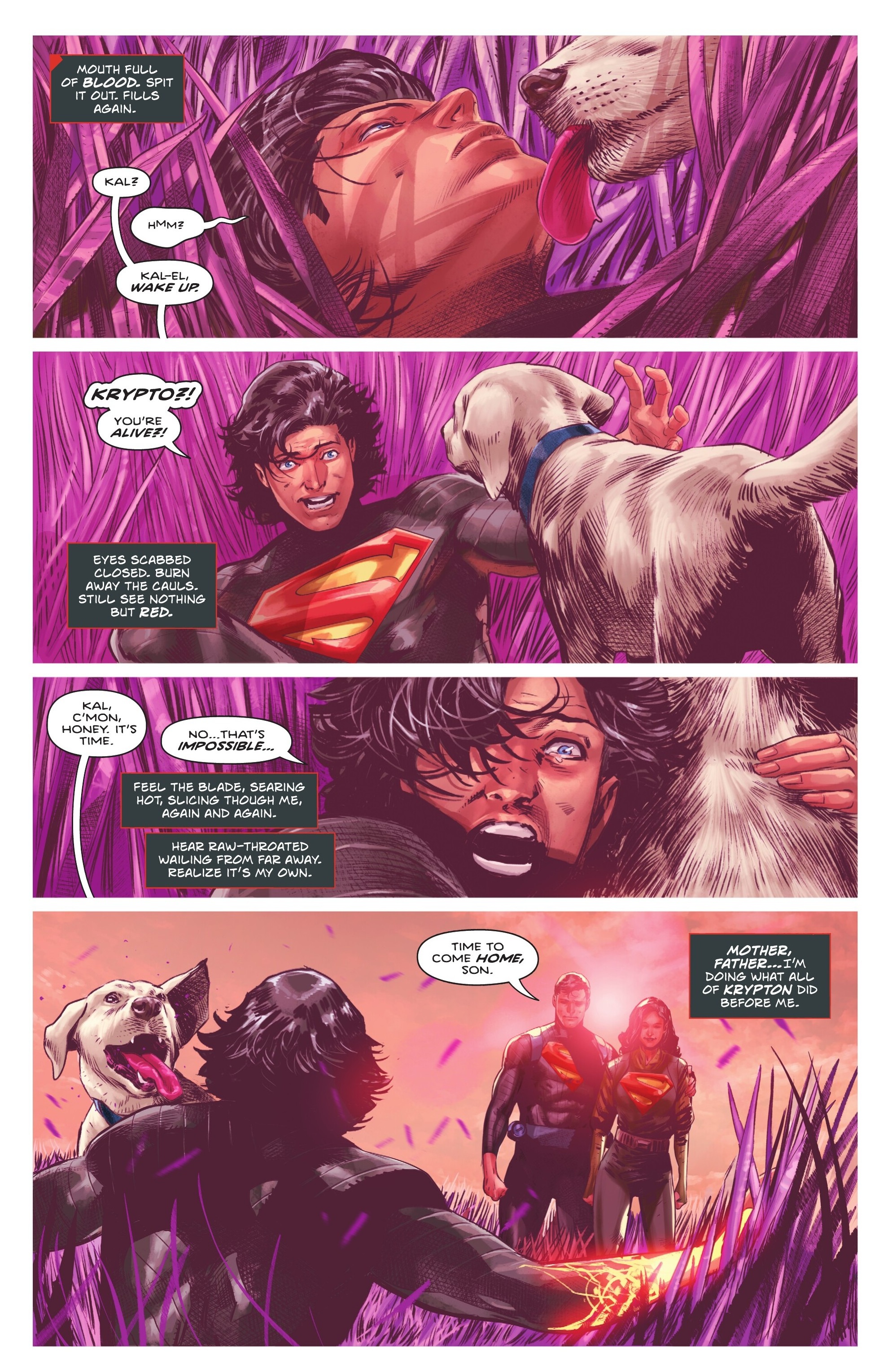 Read Absolute Superman (2024-) Manga Online