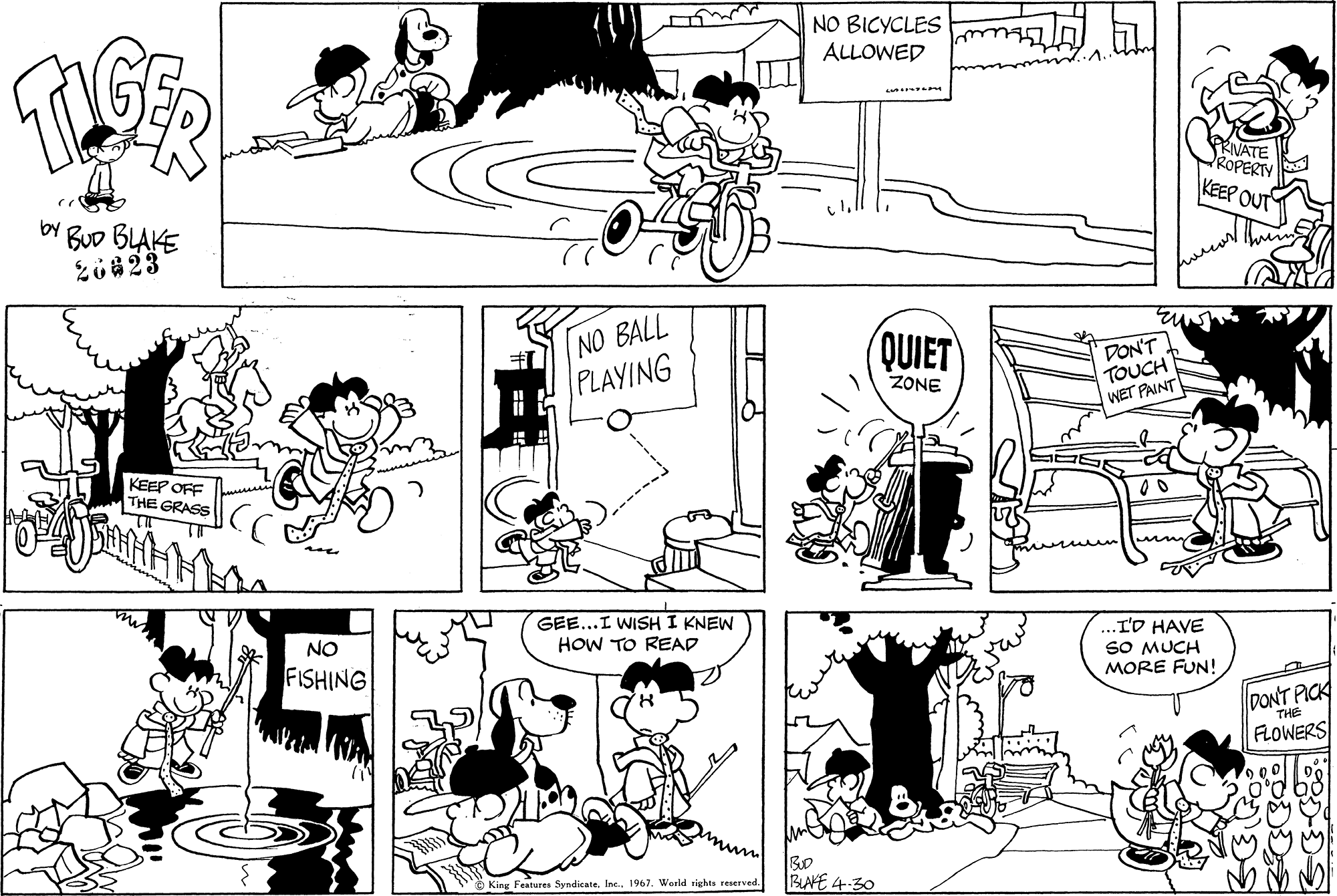 Read Tiger Vintage Sundays Manga Online