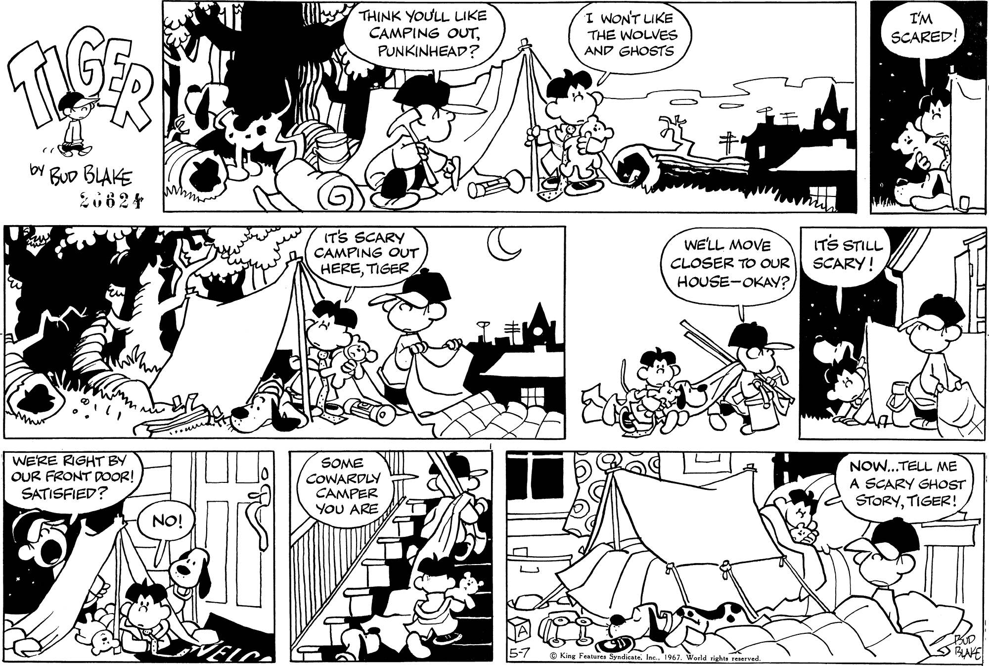 Read Tiger Vintage Sundays Manga Online