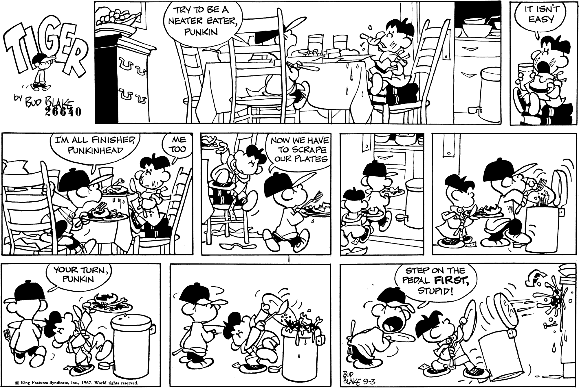 Read Tiger Vintage Sundays Manga Online