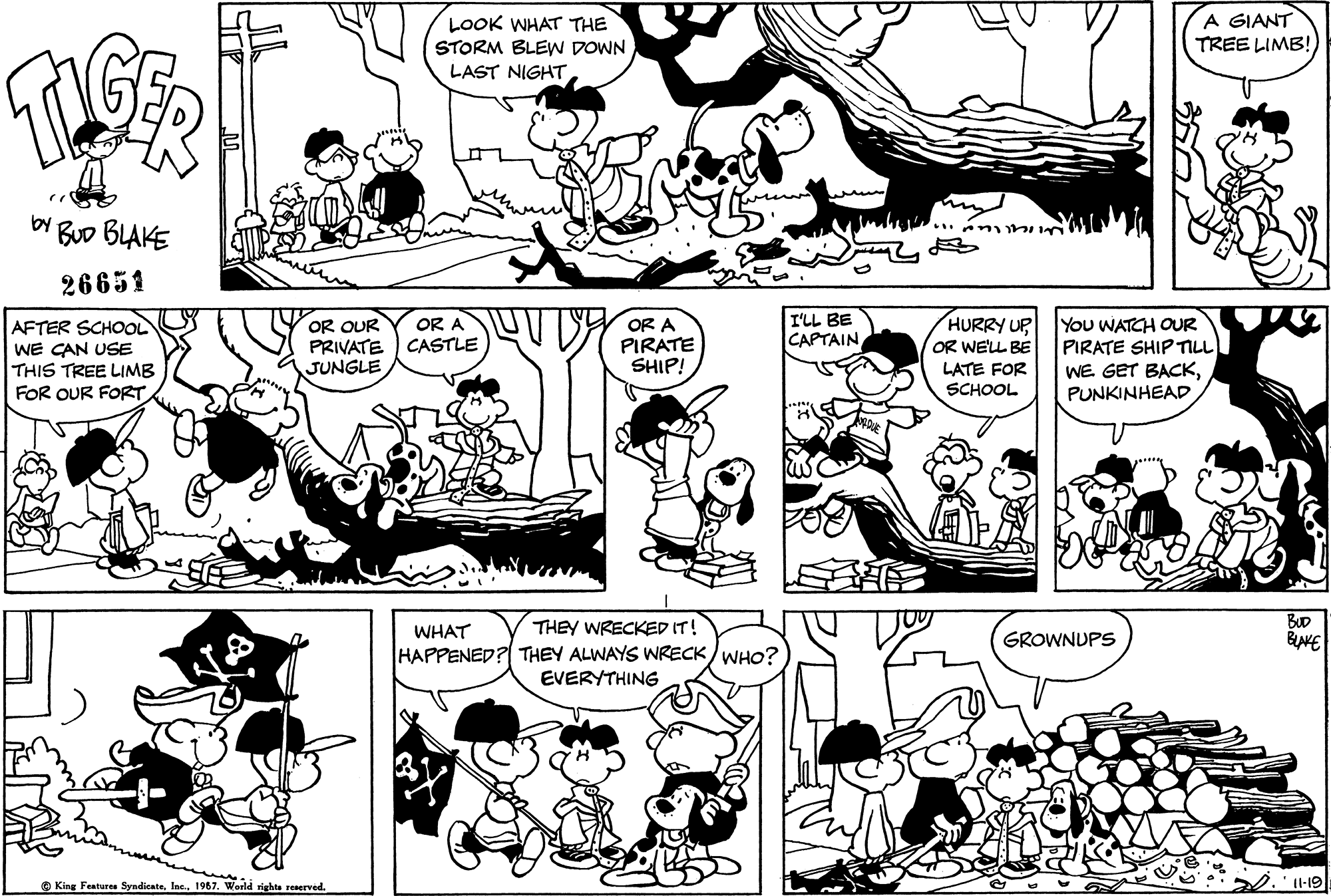 Read Tiger Vintage Sundays Manga Online