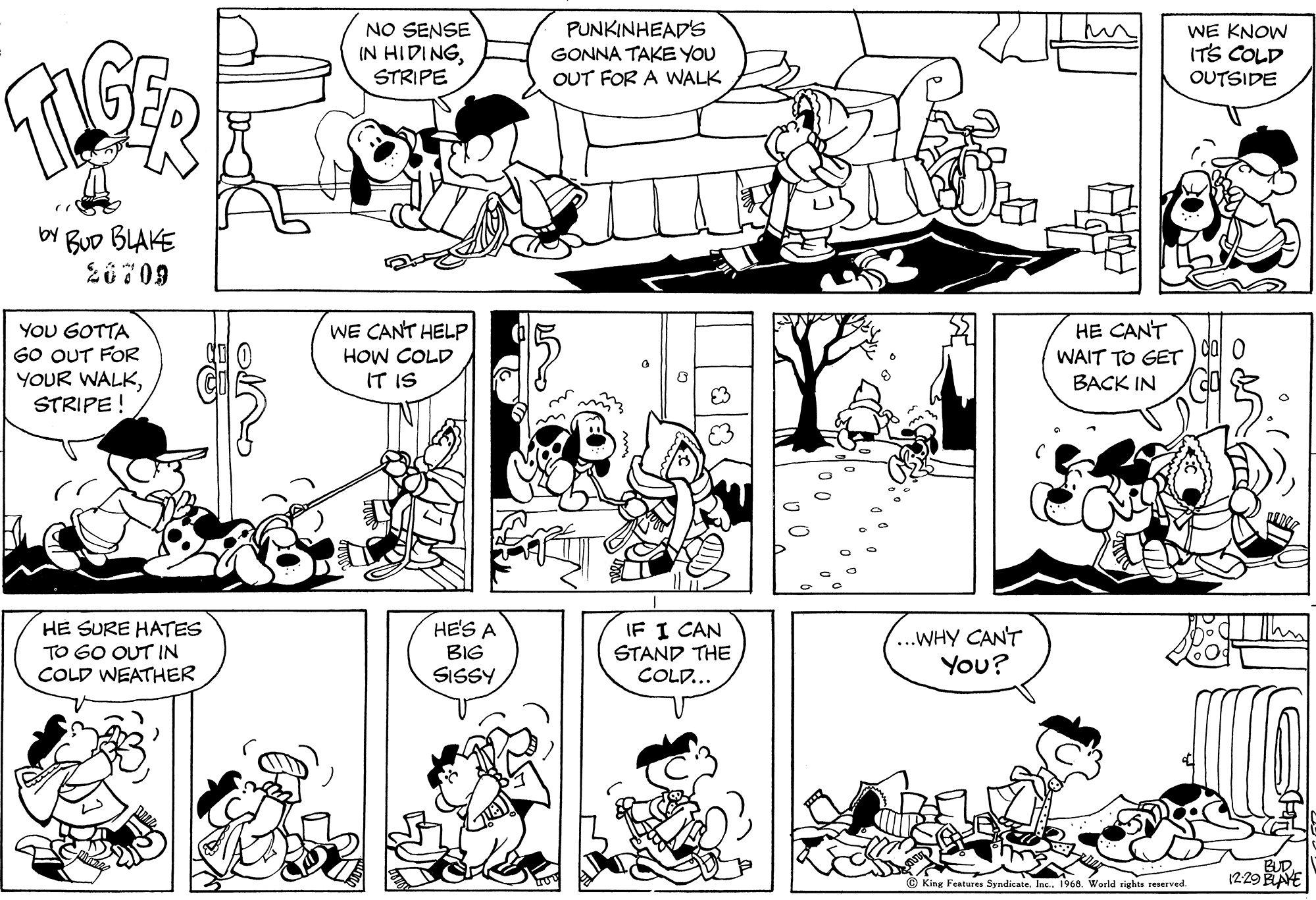 Read Tiger Vintage Sundays Manga Online
