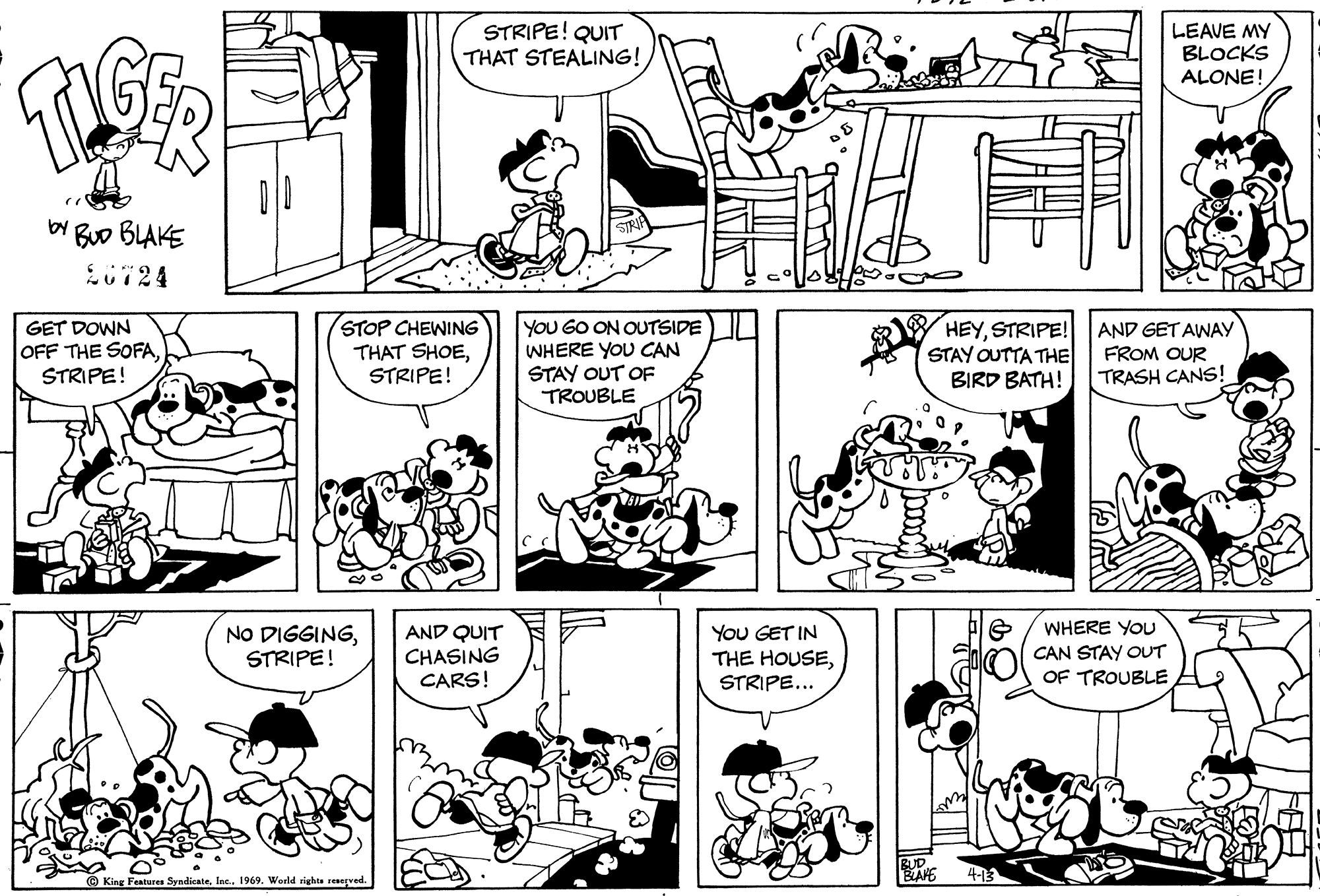 Read Tiger Vintage Sundays Manga Online