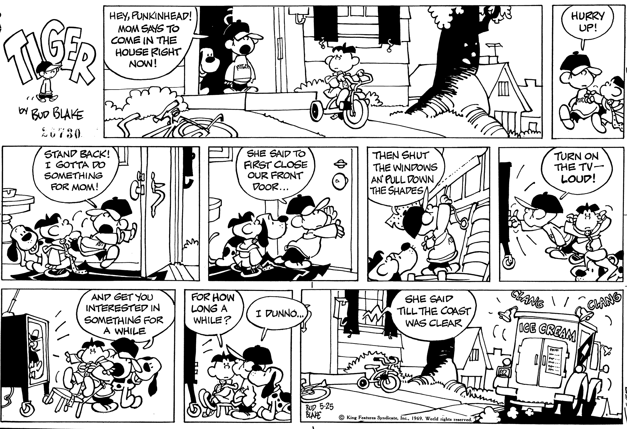 Read Tiger Vintage Sundays Manga Online