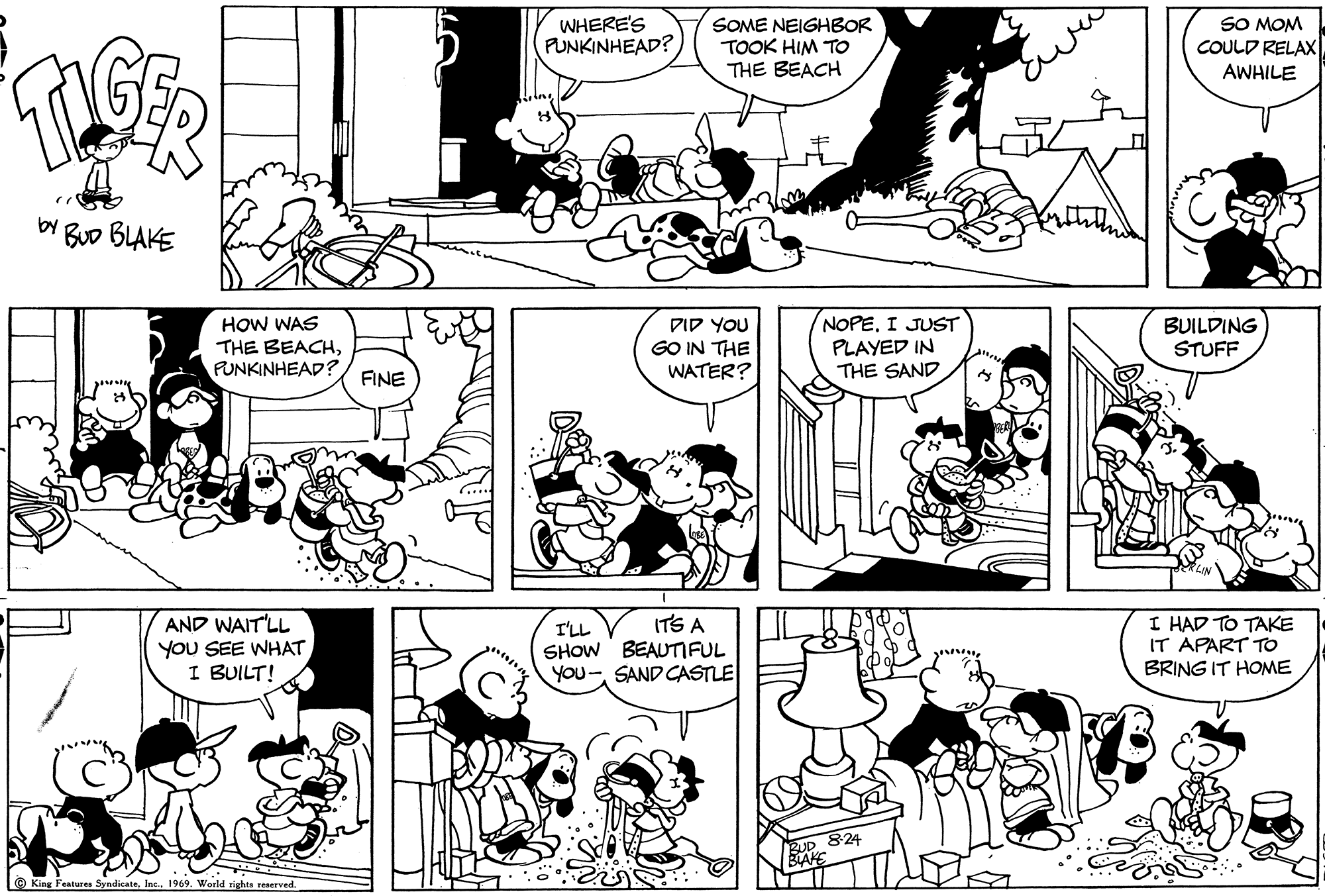 Read Tiger Vintage Sundays Manga Online