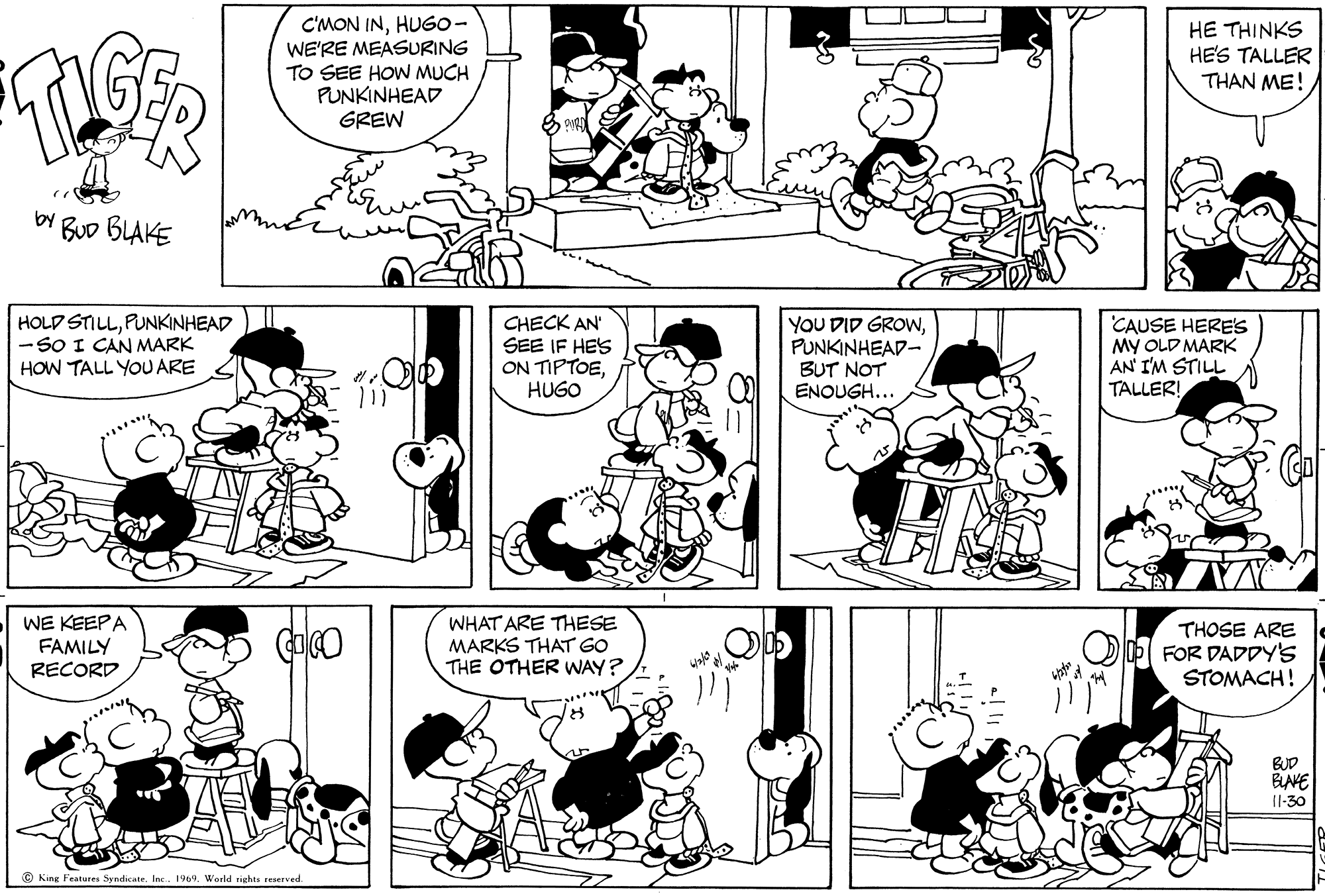Read Tiger Vintage Sundays Manga Online
