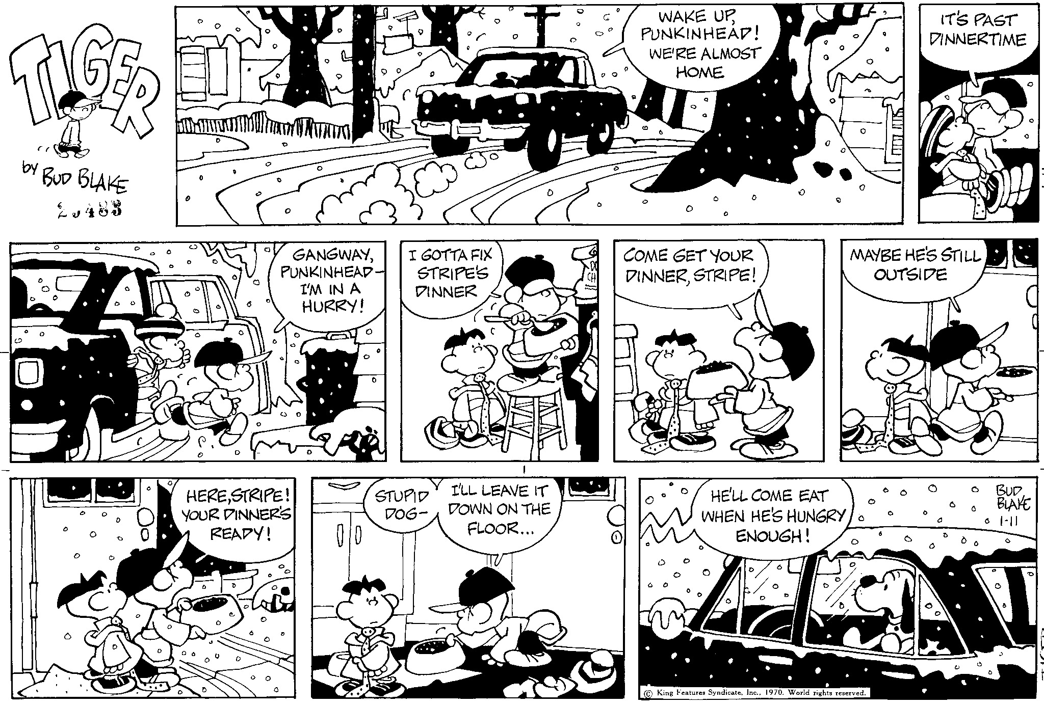 Read Tiger Vintage Sundays Manga Online