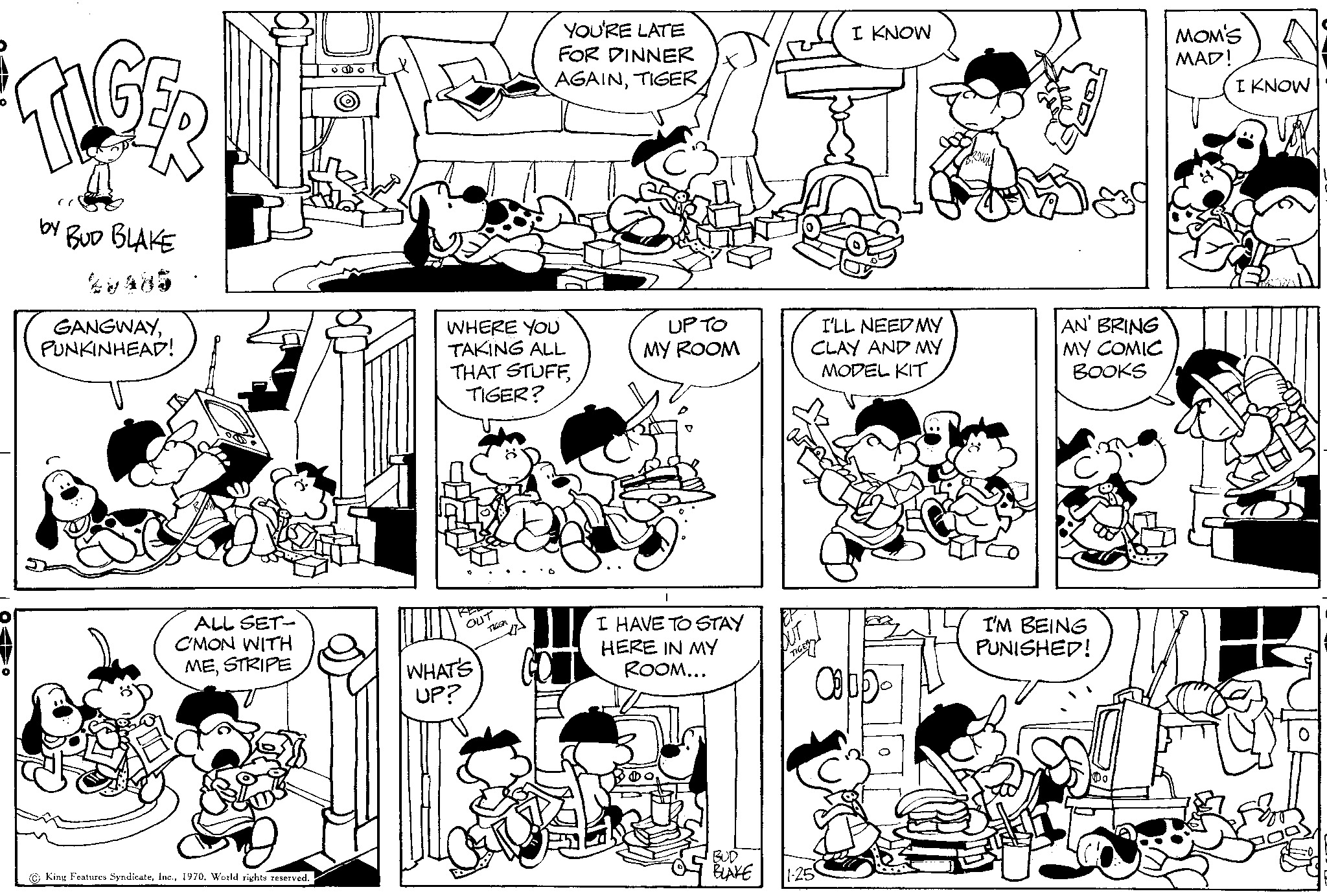 Read Tiger Vintage Sundays Manga Online