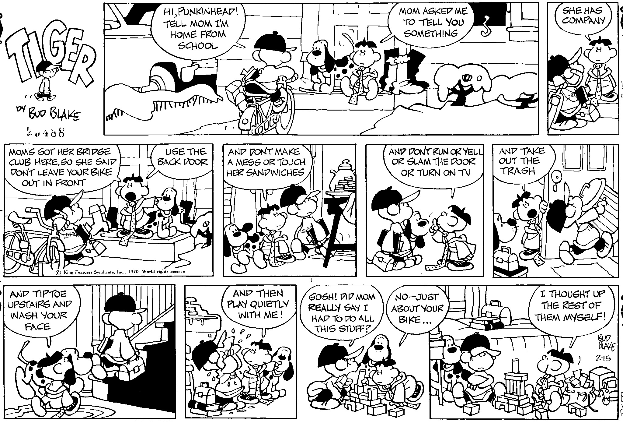 Read Tiger Vintage Sundays Manga Online