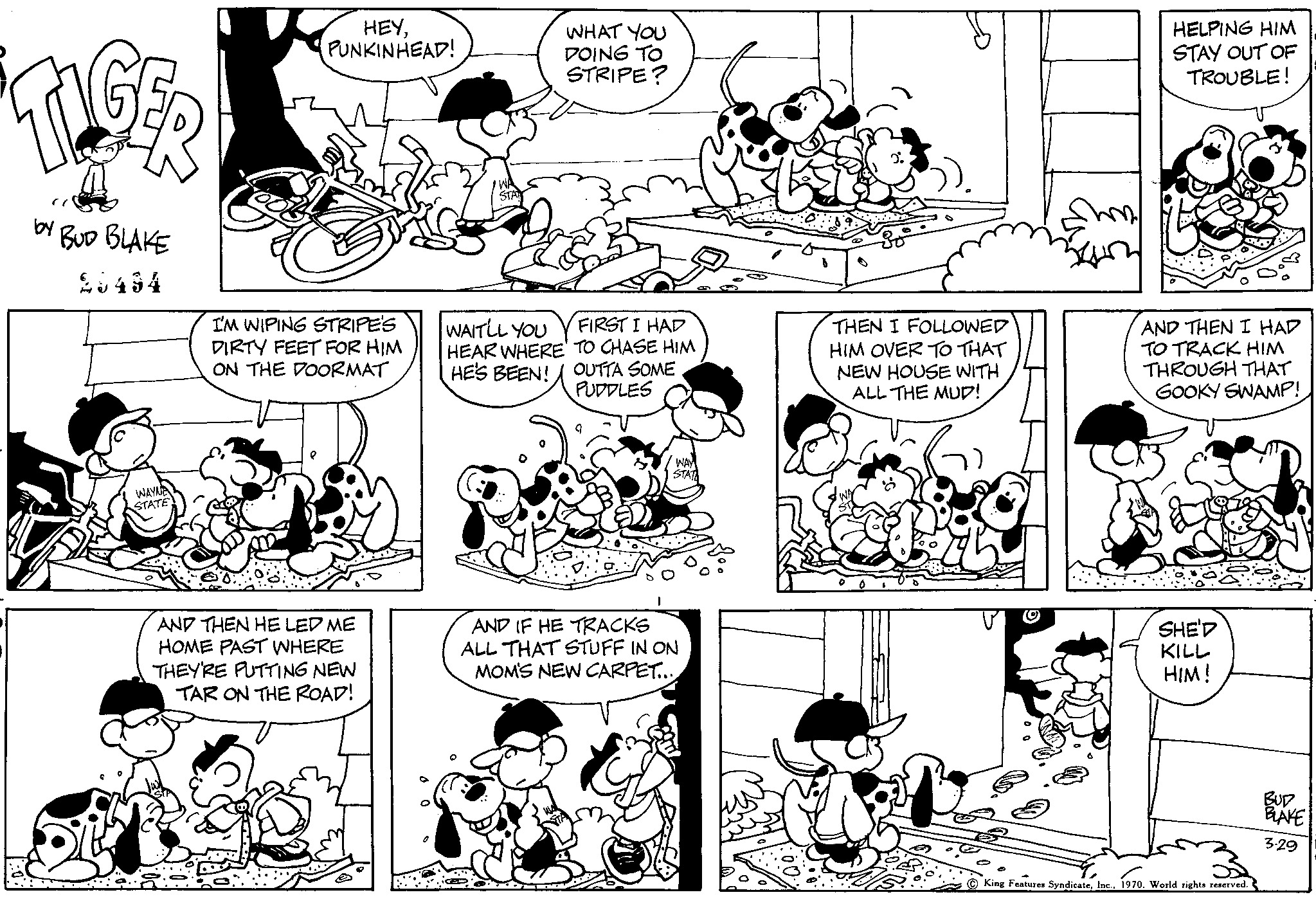 Read Tiger Vintage Sundays Manga Online