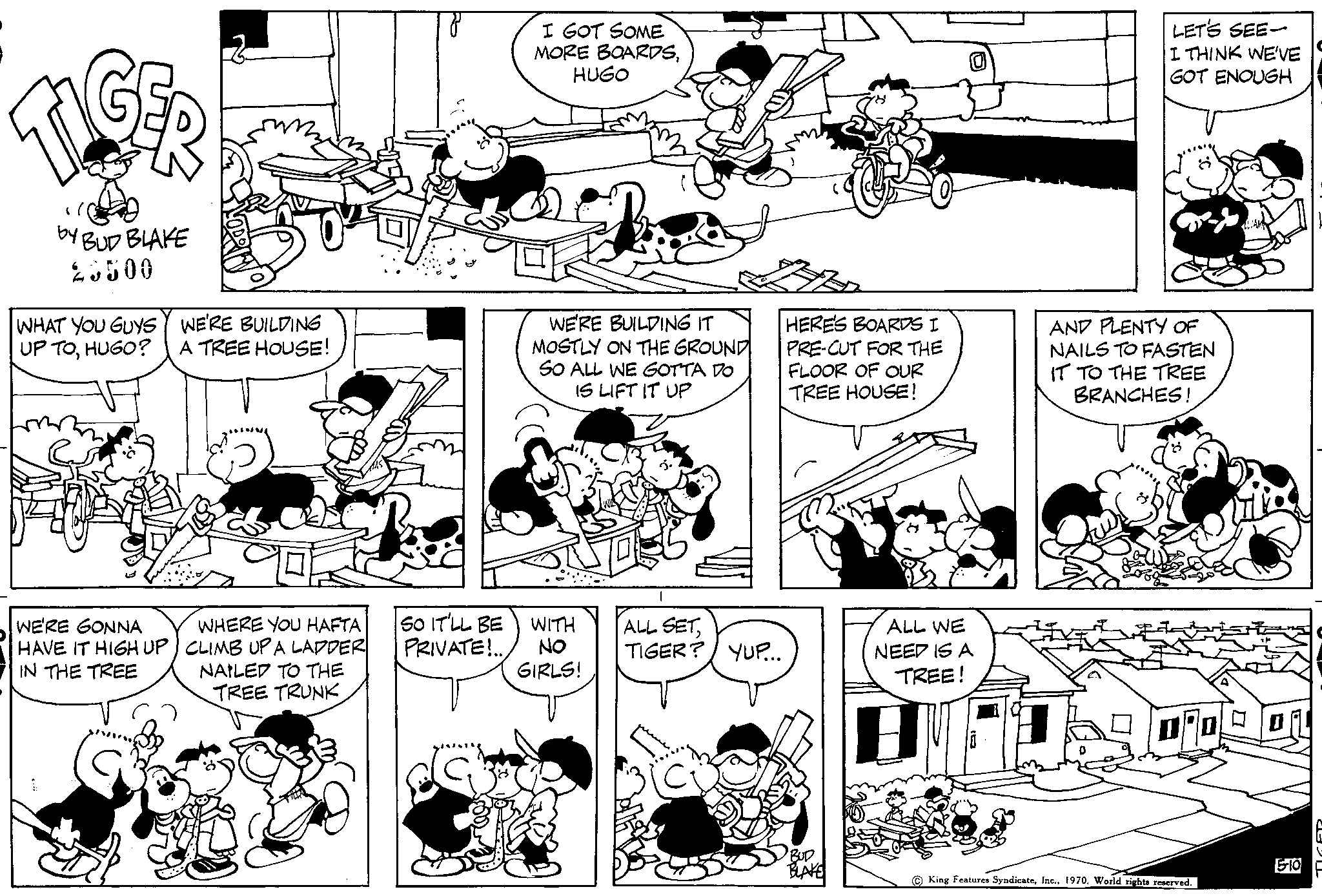 Read Tiger Vintage Sundays Manga Online