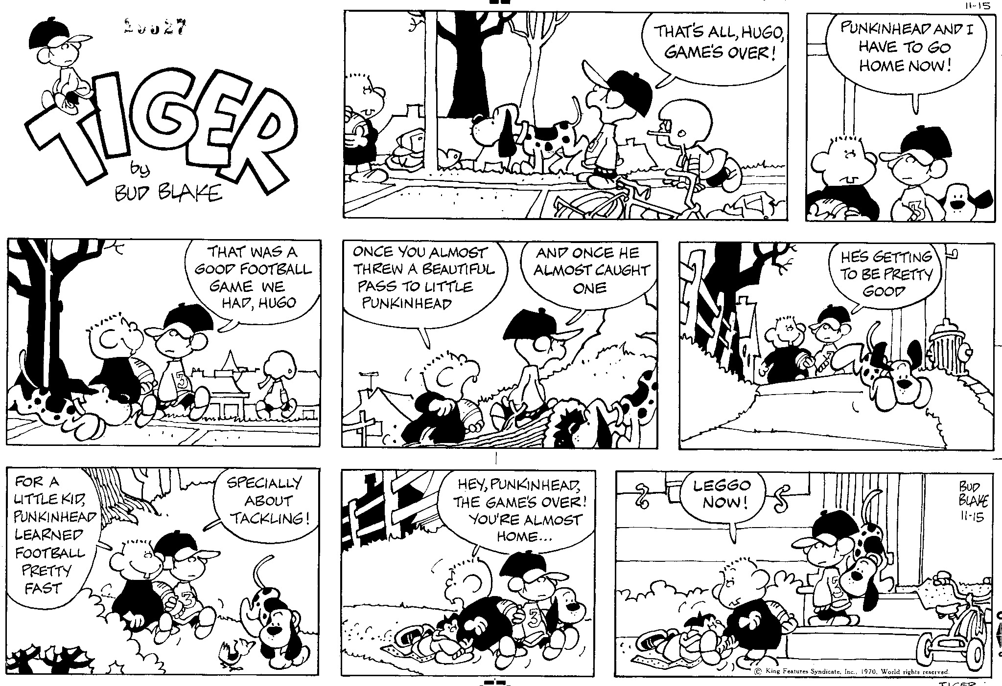 Read Tiger Vintage Sundays Manga Online