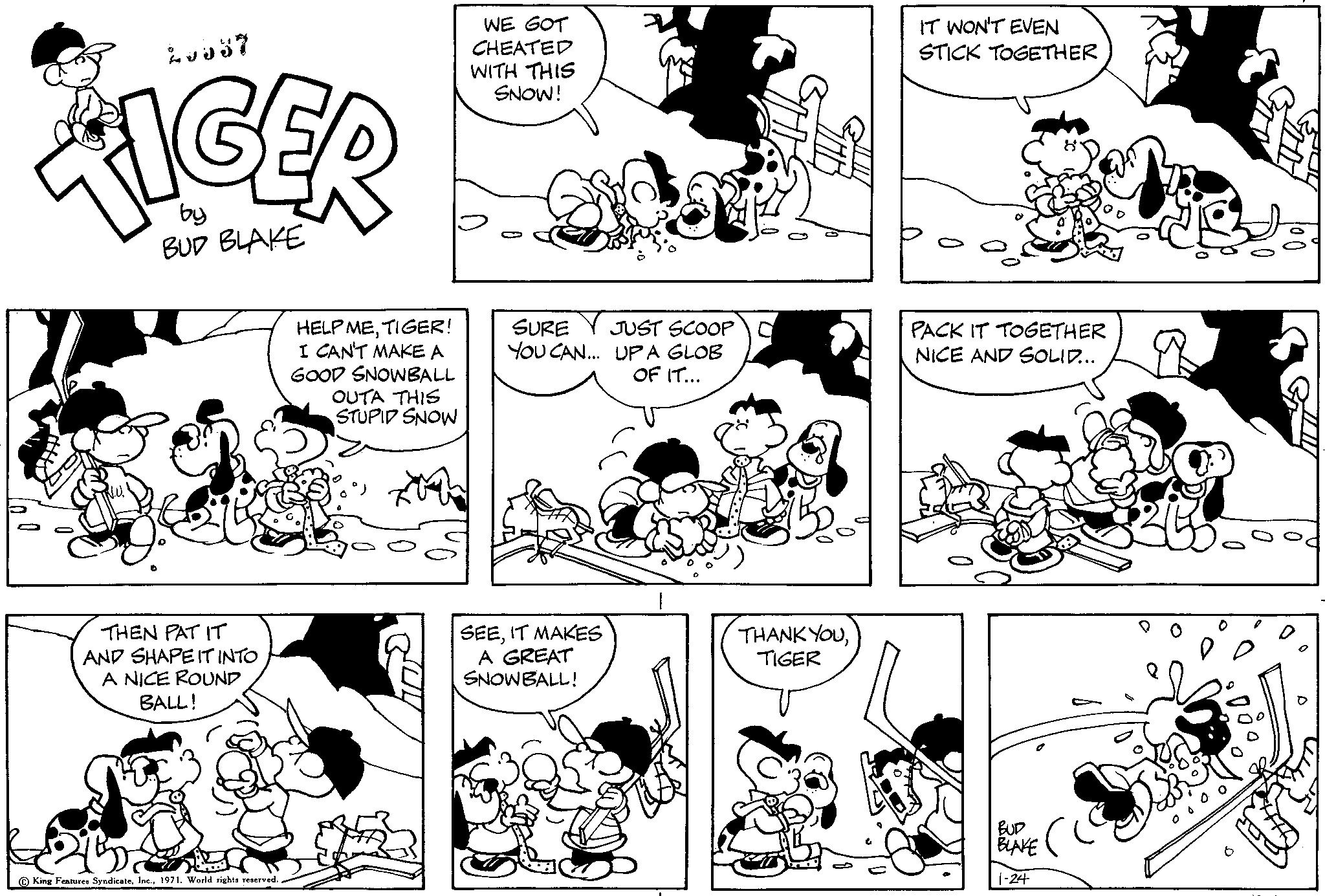 Read Tiger Vintage Sundays Manga Online