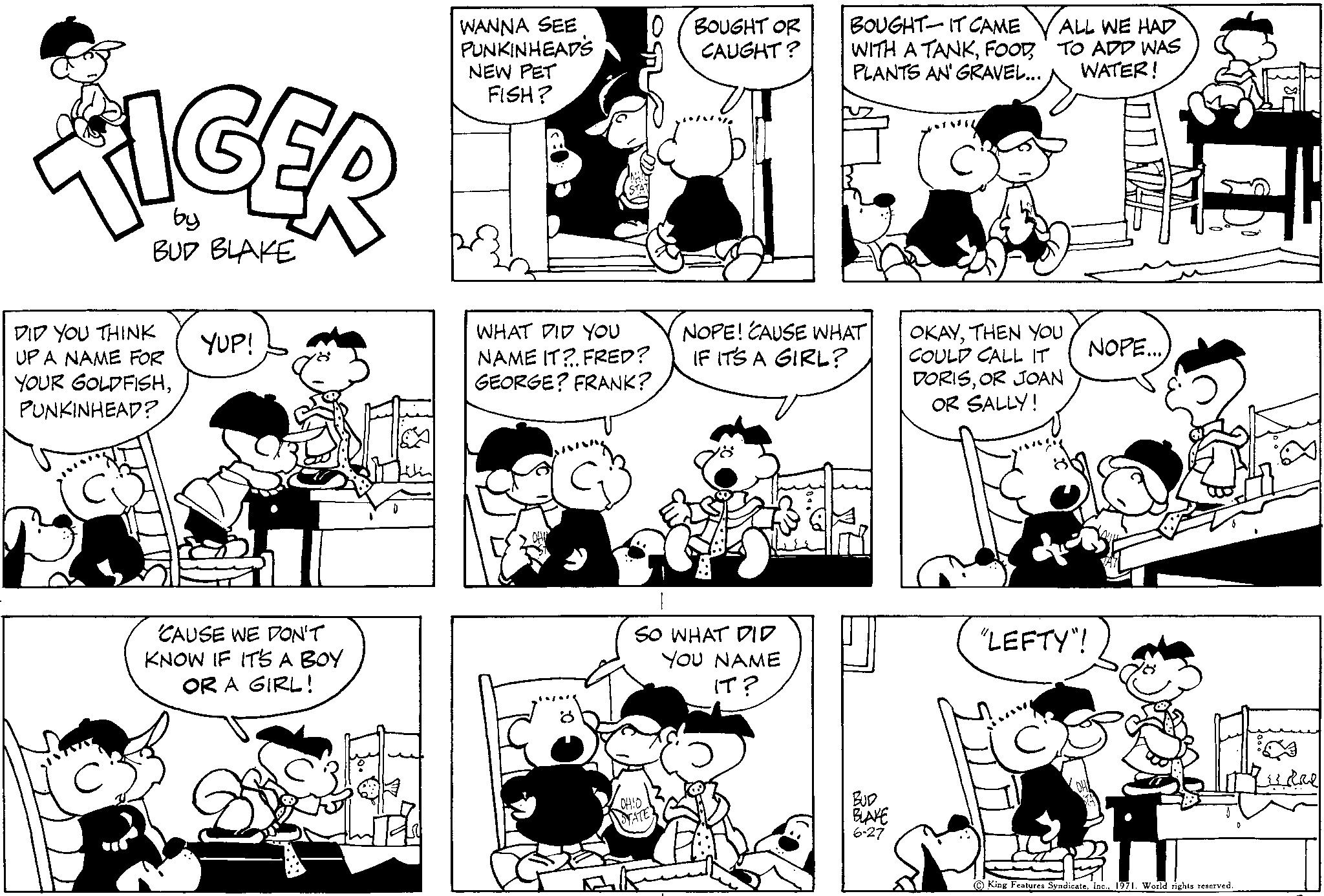 Read Tiger Vintage Sundays Manga Online