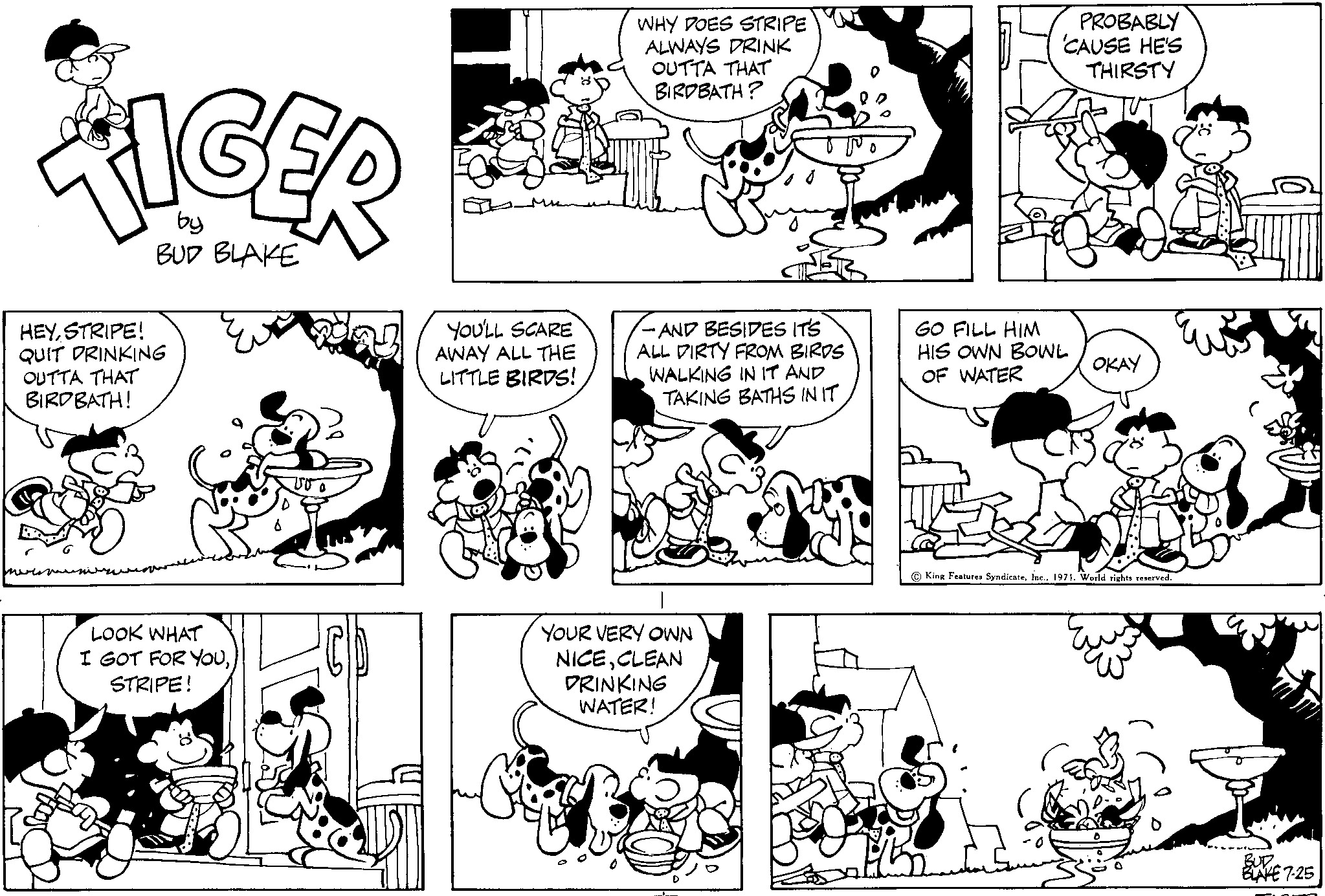 Read Tiger Vintage Sundays Manga Online