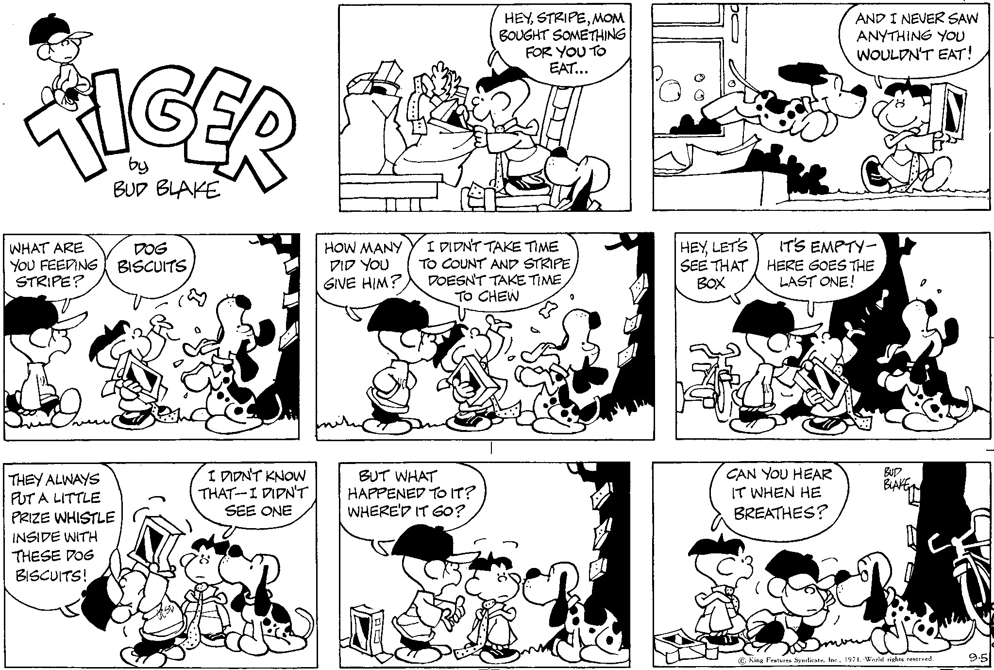 Read Tiger Vintage Sundays Manga Online