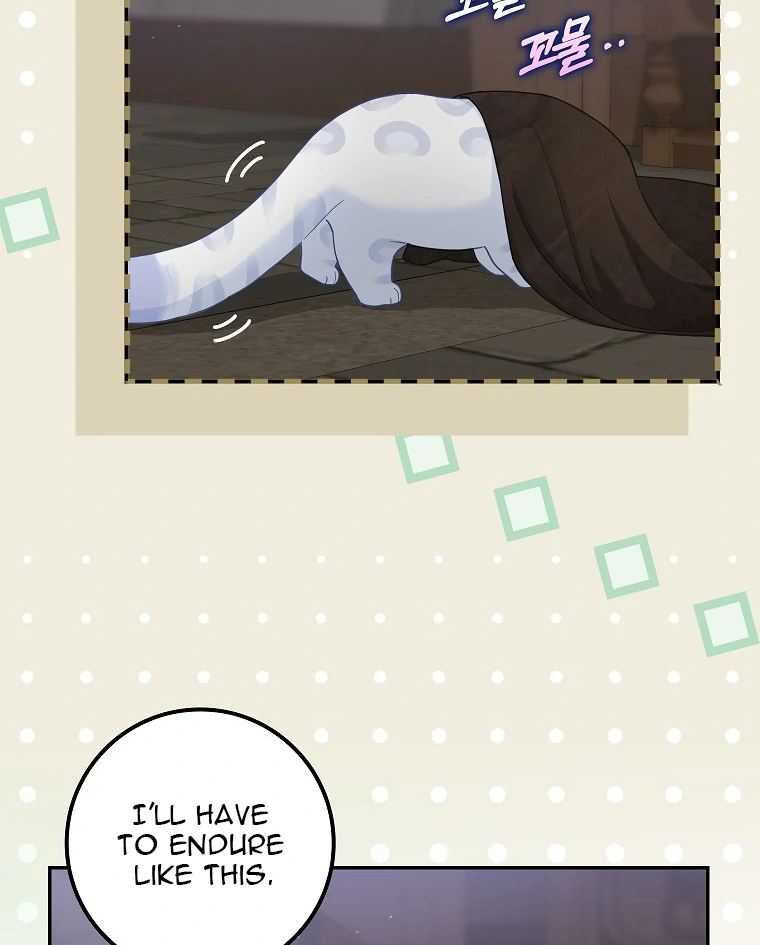 Read baby snow leopard of the black leopard family Manga Online