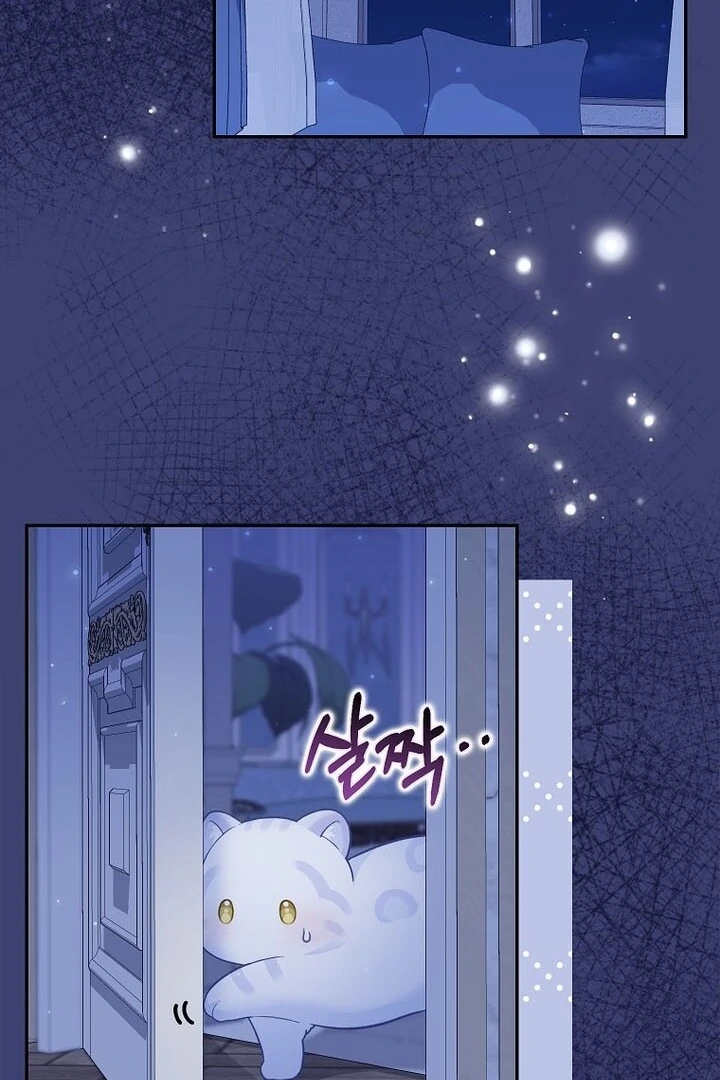 Read baby snow leopard of the black leopard family Manga Online